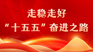 走稳走好“十五五”奋进之路