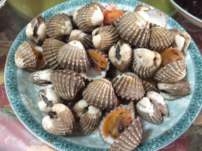 l花蚶（han）